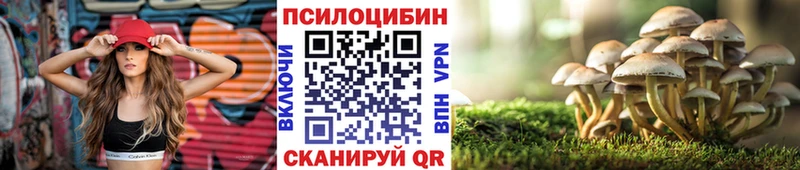 Галлюциногенные грибы Psilocybine cubensis  хочу наркоту  ссылка на мегу ссылки  Куса 